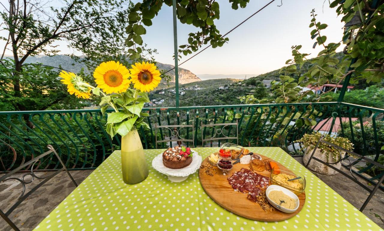 Žrnovnica Villa Blanka מראה חיצוני תמונה
